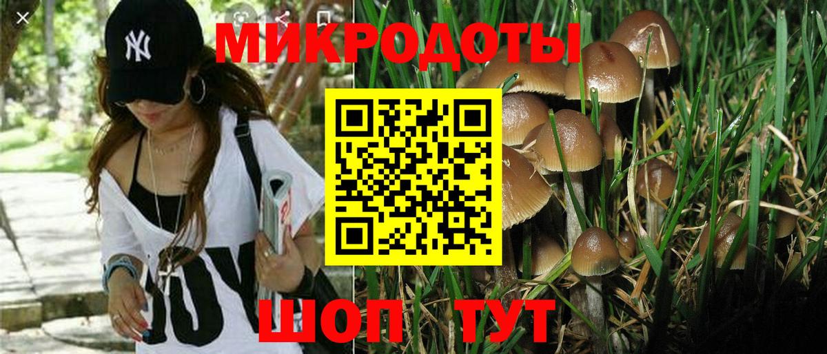 Псилоцибиновые грибы Psilocybine cubensis  Вход с VPN  Ульяновск 