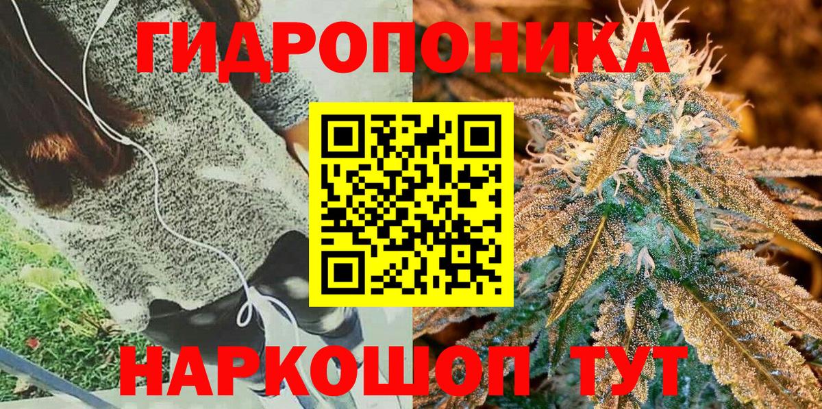 Конопля конопля  Канабис ГИДРОПОН  Ульяновск  Вход с VPN 